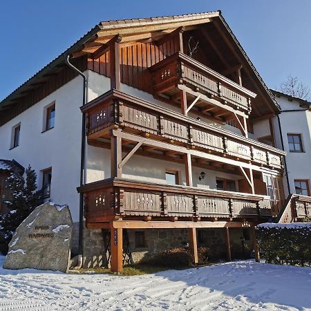 Haus Haidweg - Ferienwohnungen In Haidmuehle Im Dreilaendereck De-Cz-At Luaran gambar