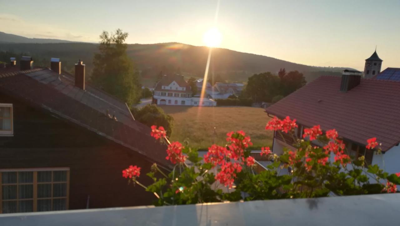 Haus Haidweg - Ferienwohnungen In Haidmuehle Im Dreilaendereck De-Cz-At Luaran gambar